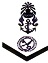 royal thai navy rank 01